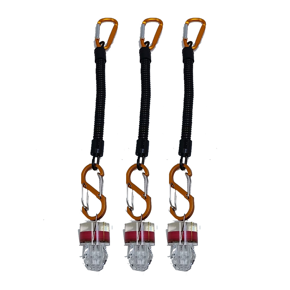 ไฟตกปลา LED 2-3 ชิ้น พร้อมเชือ - Fish Alarm บทวิจารณ์และราคา