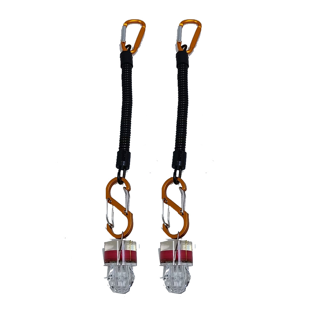 ไฟตกปลา LED 2-3 ชิ้น พร้อมเชือ - Fish Alarm บทวิจารณ์และราคา